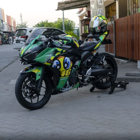 Custom stiker R25 Icon kura kura 46 hijau full body 02