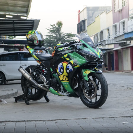 Custom stiker R25 Icon kura kura 46 hijau full body 03