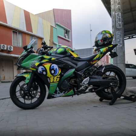 Custom stiker R25 Icon kura kura 46 hijau full body 04