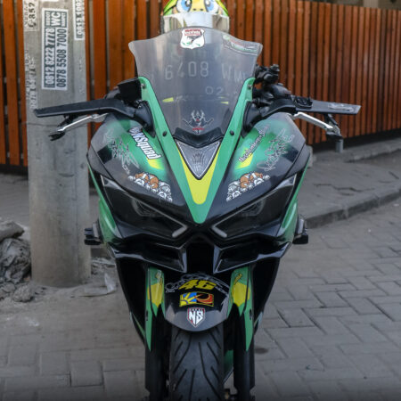 Custom stiker R25 Icon kura kura 46 hijau full body 05