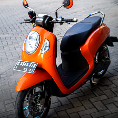 Decal Stiker Scoopy Oren Fullbody 03