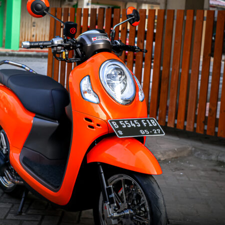Decal Stiker Scoopy Oren Fullbody 04